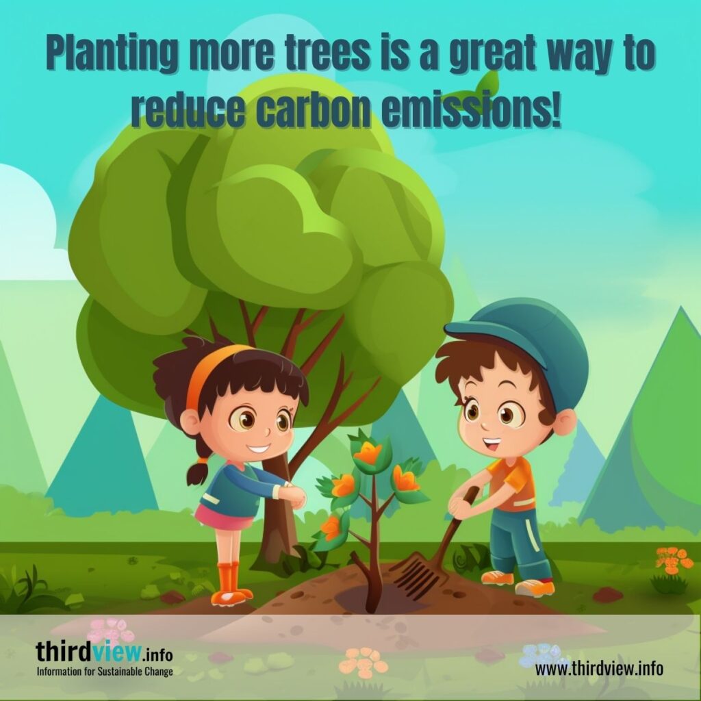 Planting trees for a better future