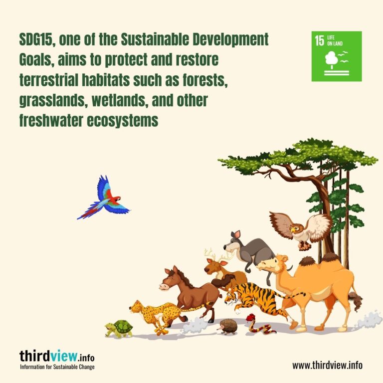 Learning About Sustainable Development Goal 15: Life On Land - Thirdview