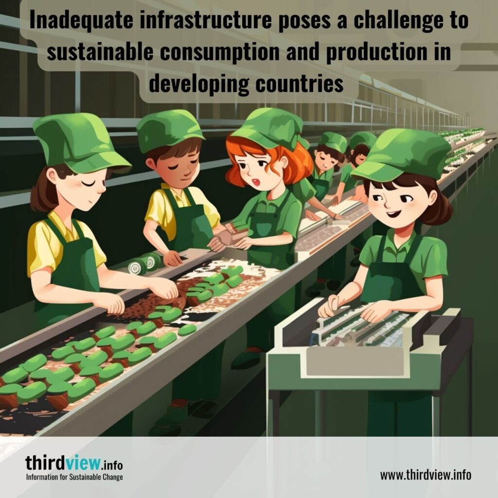 The Challenges of Achieving Sustainable Consumption and Production in Developing Countries