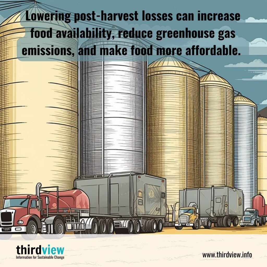 Lowering post-harvest losses can increase food availability, reduce greenhouse gas emissions, and make food more affordable.